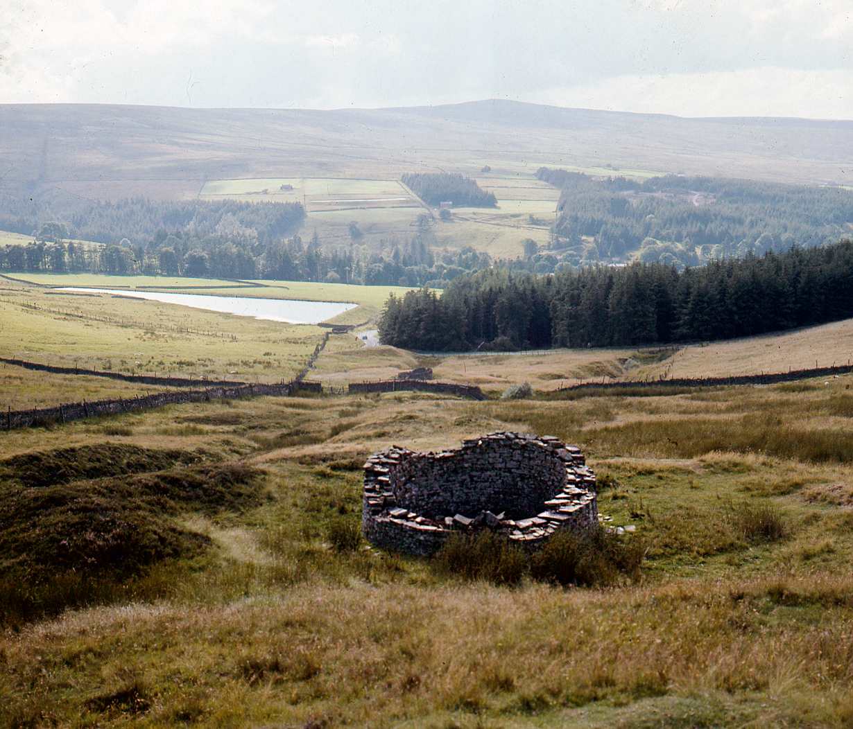 Shaft on Fawside Level Allenheads
